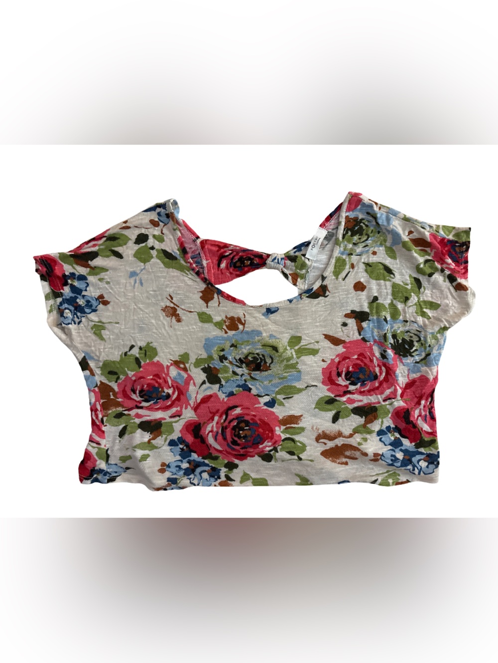 Poetry Floral Cutout Crop Top in White, Pink, Blue, Green